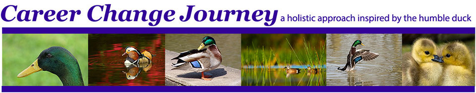 Career Change Journey Banner