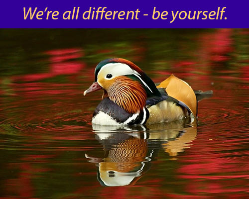 Be Yourself Duck